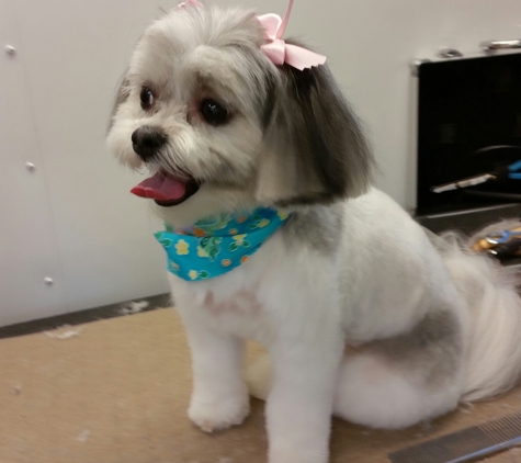 Harts Mobile Dog Grooming - Chuluota, FL