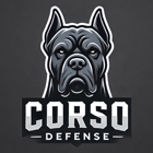 Corso Defense