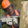 Heindl Tree Care