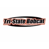 Tri-State Bobcat - Hudson gallery