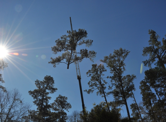 Tammany Tree Service - Robert, LA