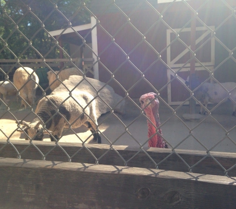 Charles Paddock Zoo - Atascadero, CA