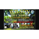 Wilson Tree Works - Arborists
