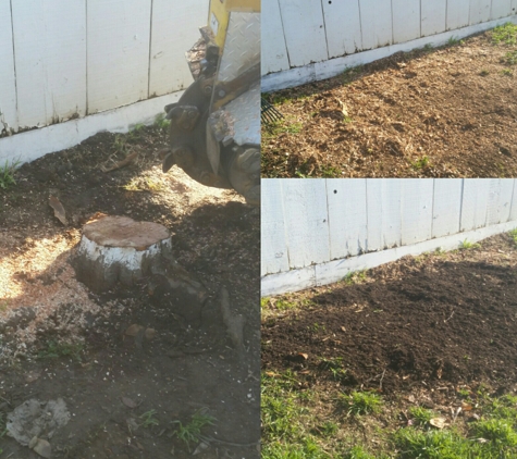 Green Max Landscape - Merced, CA. Stump grinding