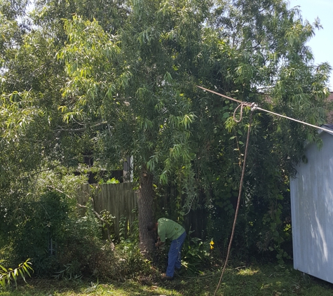 Benoit Carpentry and Tree Services - Murrells Inlet, SC