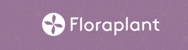 Flora Plant