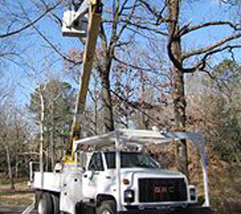 Butler Tree Service - Millington, TN