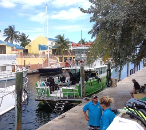 Ocean Divers - Key Largo, FL