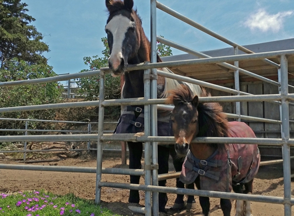 Sea Horse Ranch Barbi Breen-Gurley - Los Osos, CA