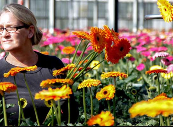 Floraco Pty Ltd - East Perth, WA