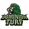 Dominion Turf- LOCAL Synthetic Grass Sales & Installation gallery