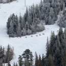 Terry Peak Ski Area