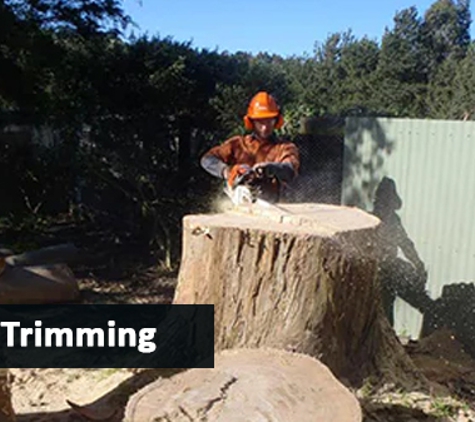 Mckill's Tree Service - Berrambool, NSW. Tree Trimming