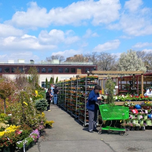 Garden World - Flushing, NY