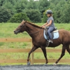 Horizons Horseback Equestrian Center gallery