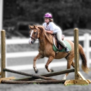 Dayenu Equestrian - Horse Training