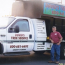 David's Tree Service - Tree Service