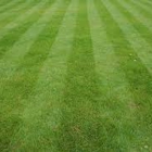 Asheboro Lawn Care