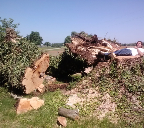 Hayden's tree service - glasgow, KY