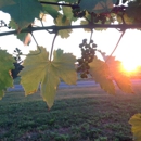 Round Barn Winery - Wineries