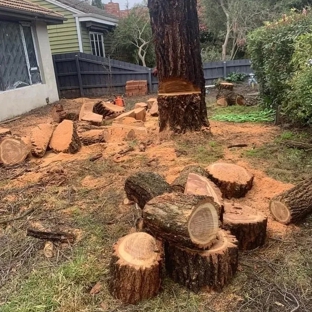 Harringtons Tree Services - Mount Evelyn, VIC