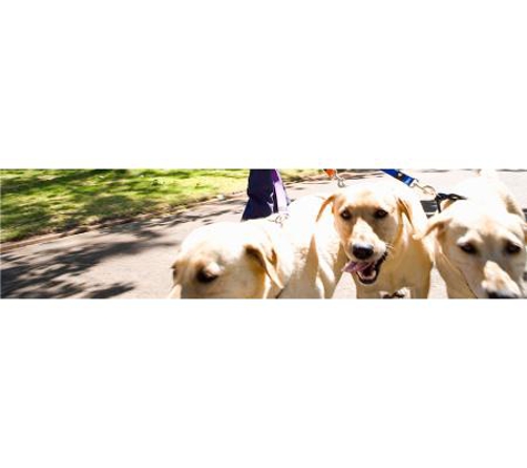 Colyton Veterinary Hospital - Oxley Park, NSW