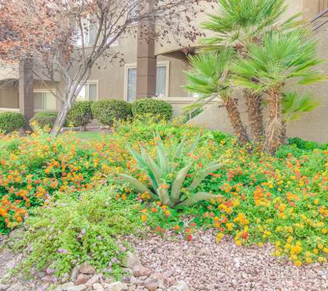 San Croix Apartments - Las Vegas, NV