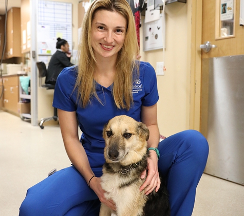 BluePearl Pet Hospital - Tukwila, WA