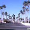 Palm Shadows gallery