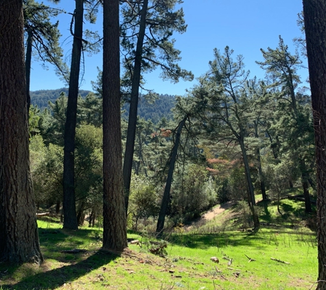 Redwood Regional Park - Oakland, CA