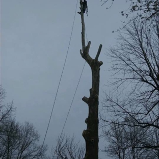 King Tree Services and Landscaping LLC - Indianapolis, IN