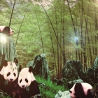 Panda House