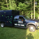 Gallo Tree Service