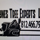 Layne Tree Experts LLC - Tree Service