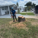 81Tree services