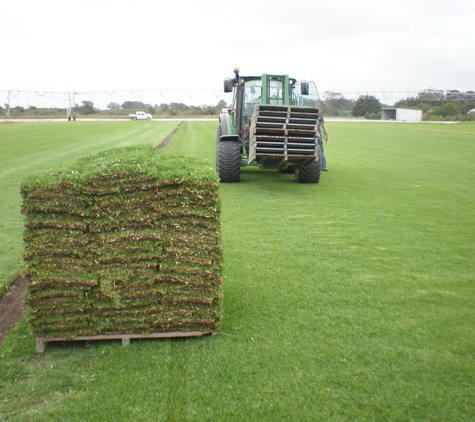 The Grass Company - Vienna, GA