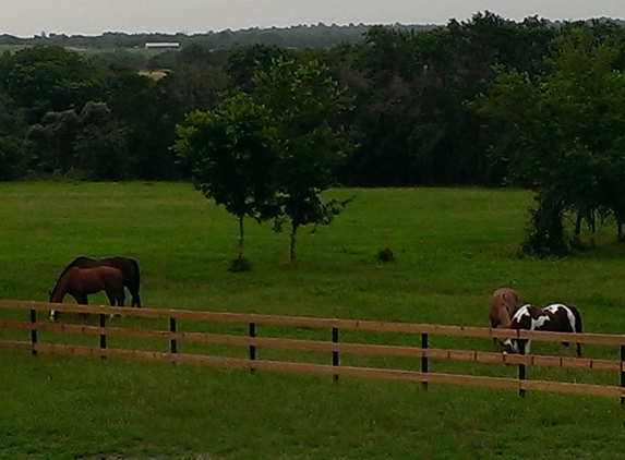 Lantern Hill Equine Retirement - houston, TX