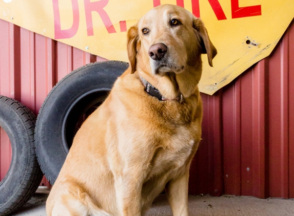 Dr. Tire Inc. - Estill, SC