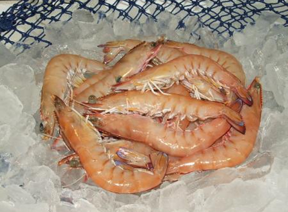 Urangan Fisheries - Callemondah, QLD