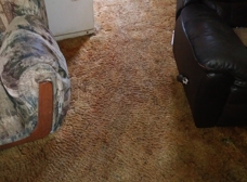 Empire Carpet And Air Duct Cleaning Baltimore Md 21223
