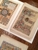 Antiquarium Antique Print & Map Gallery - Antiques