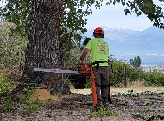 Tree Frog Tree Service - Hamilton, MT