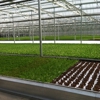 Green City Growers gallery