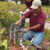 Sprinkler Repair Guy gallery