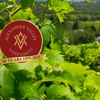 Alexander Valley Vineyards Winery gallery
