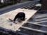 Allstar Roofing & Paving - Roofing Contractors