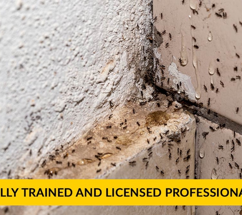 Newman Pest Control - Newman, WA. Fully Trained And Licensed Professionals