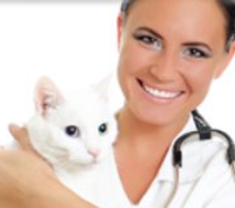 Academy Animal Hospital - Ashland, KY