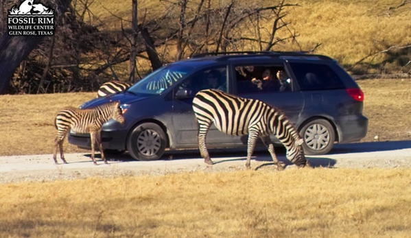 Fossil Rim Wildlife Center - Glen Rose, TX