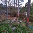 E-Z Out Tree Service Inc - Tree Service